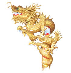gold dragon on white background