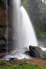 Obraz premium Tropical Rainforest Waterfall