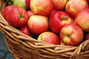 Apple crop in a basket