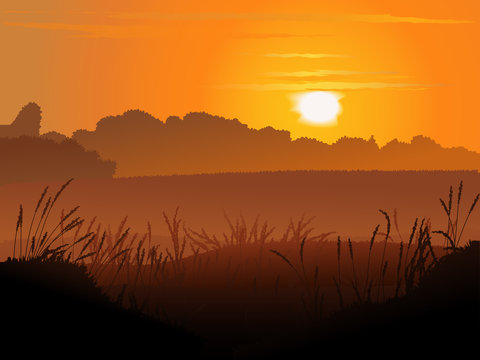 Vector backround of field in sunset.