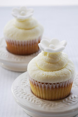 Vanilla cupcakes