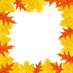 background of the leaves of maple and oak