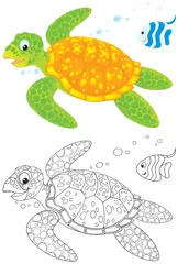 Poster Bricolage Tortue marine et poisson