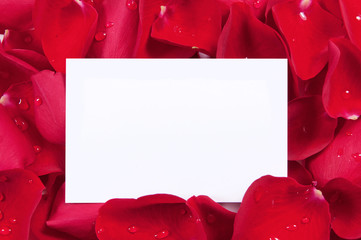 Red roses with blank card