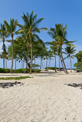 Obraz na płótnie Canvas Resort Beach in Hawaii