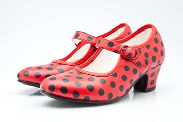 Zapatos de Flamenco