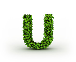 Letter U, alphabet of green leaves isolated on white background