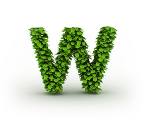 Letter W, alphabet of green leaves isolated on white background