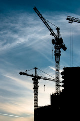 Cranes silhouettes and cloudy sky