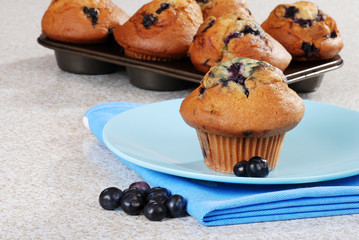 blueberry muffin with fresh berries