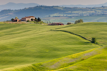 Obraz premium Countryside near Pienza , Tuscany, Italy