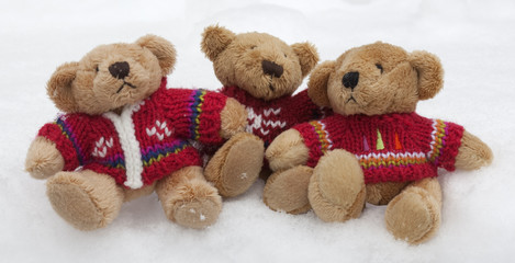 Teddy Bears in the Snow