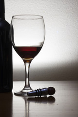 contraluz con botella y copa de vino