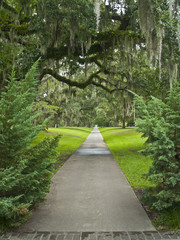 Giant Oak Pathway