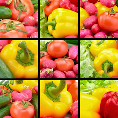 Set of a fresh vegetables. Shot in a studio