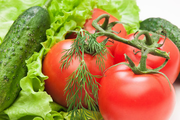 Tomato and vegetables