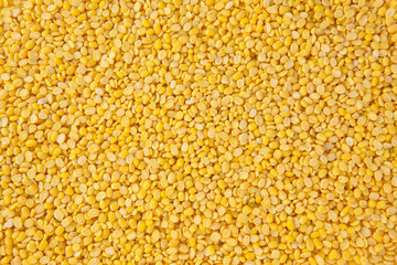 yellow bean pattern