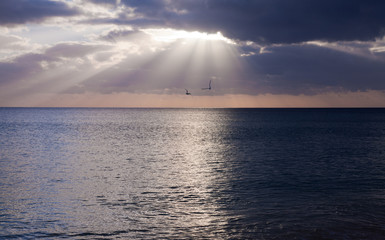 sunset over ocean © Tamara Kulikova