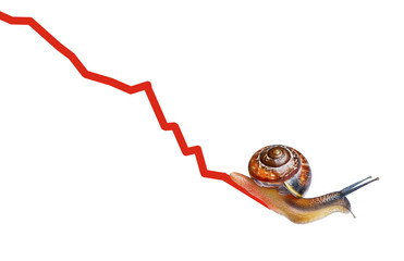 Snail on chart currency