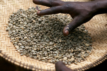 Coffee, grains