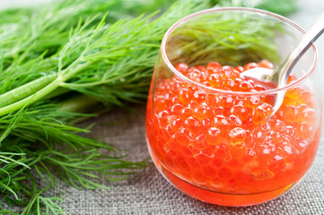Salmon caviar in glasses on dill background close up