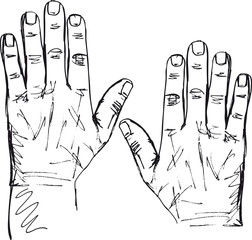 Sketch of right and left hand. Vector illustration