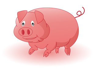 pig