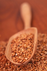 Pelle de graines de sésame