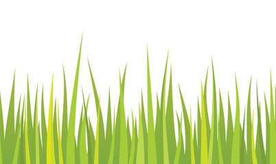 Obraz premium Seamless grass