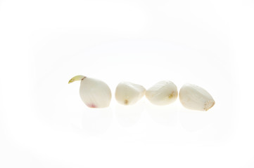 Garlic