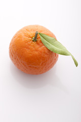 Mandarine mit Blatt