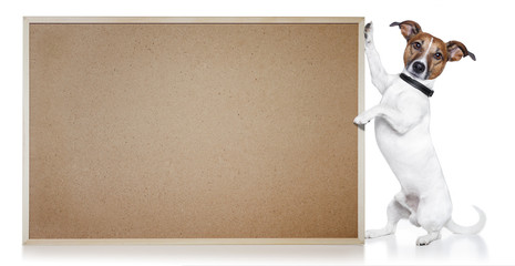 dog with cork banner horizontal