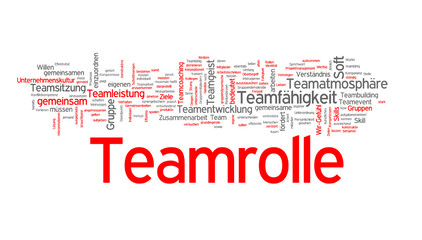 Teamrolle