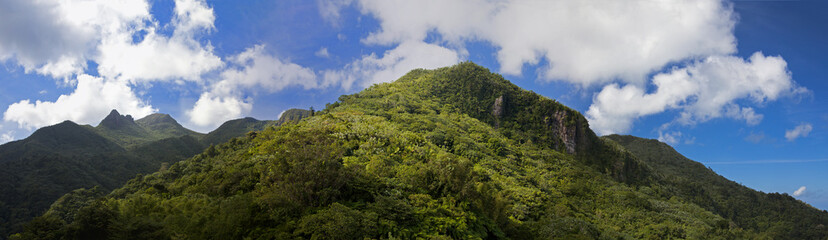 mountain vista in El Yunque Nation park, Puerto Rico