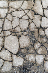 Risse im Beton