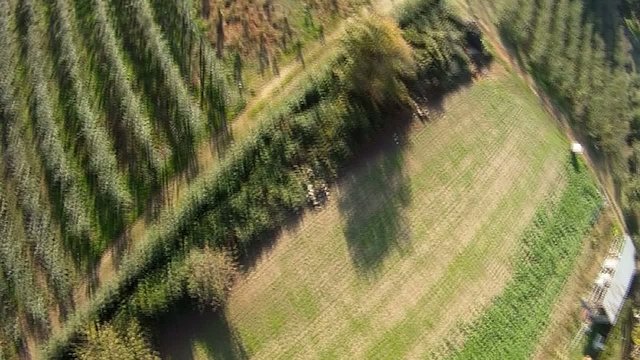 crash aereo