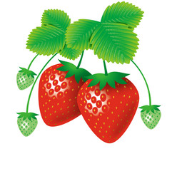 strawberry