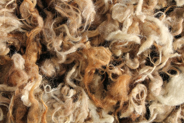 Wool mutton natural