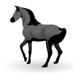 cheval pursan arabe