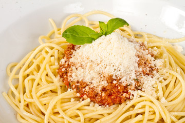 spaghetti pasta with tomato beef sauce