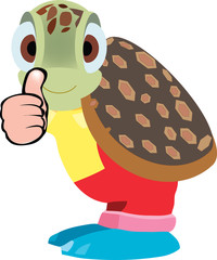 tartaruga tutto bene