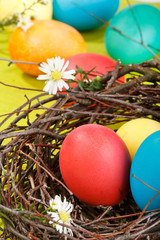 Easter eggs in a nest