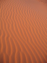 Morocco, Sahara Desert orange glowing dunes