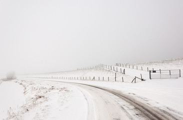 A snowy Dutch landscape with a road, fences and a dike.