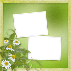 Grunge frames with beautiful daisy for design