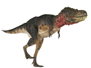 tarbosaurus walking free