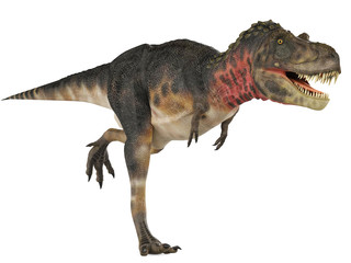 tarbosaurus running free full