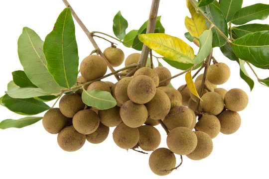 longan, longane, longani, oeil du dragon