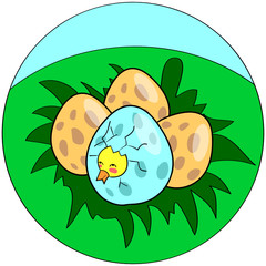 egg