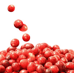 Fresh raw cranberries